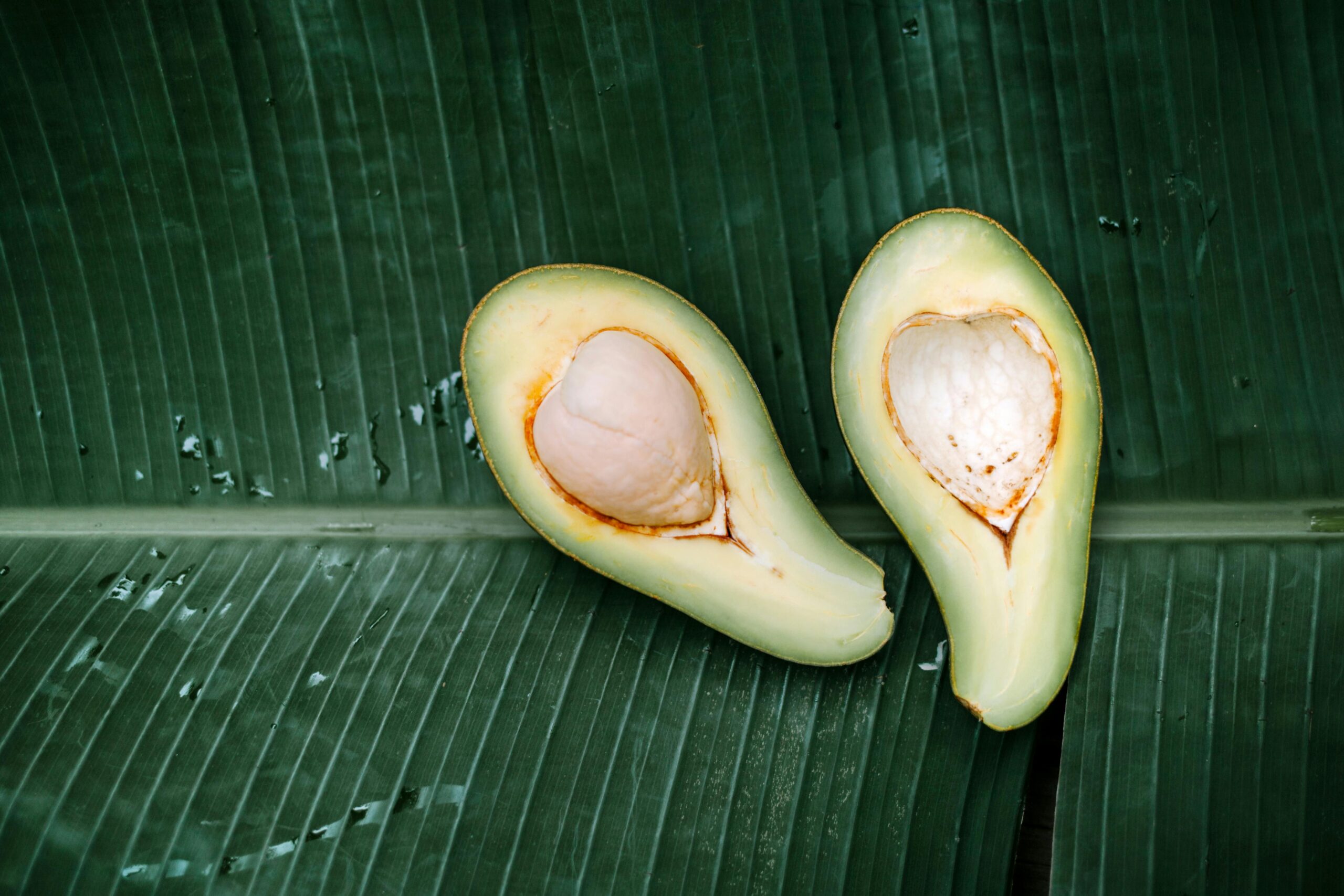 An opened avocado on an exotic leaf