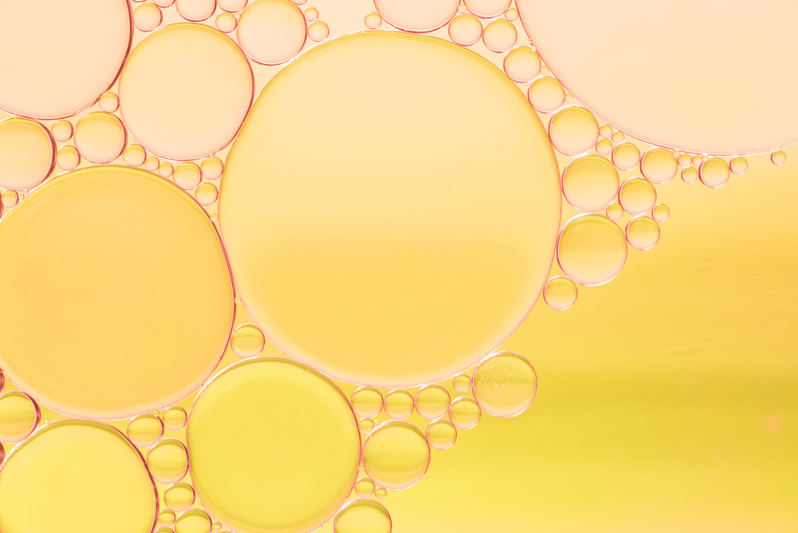 Yellow oil droplets in water