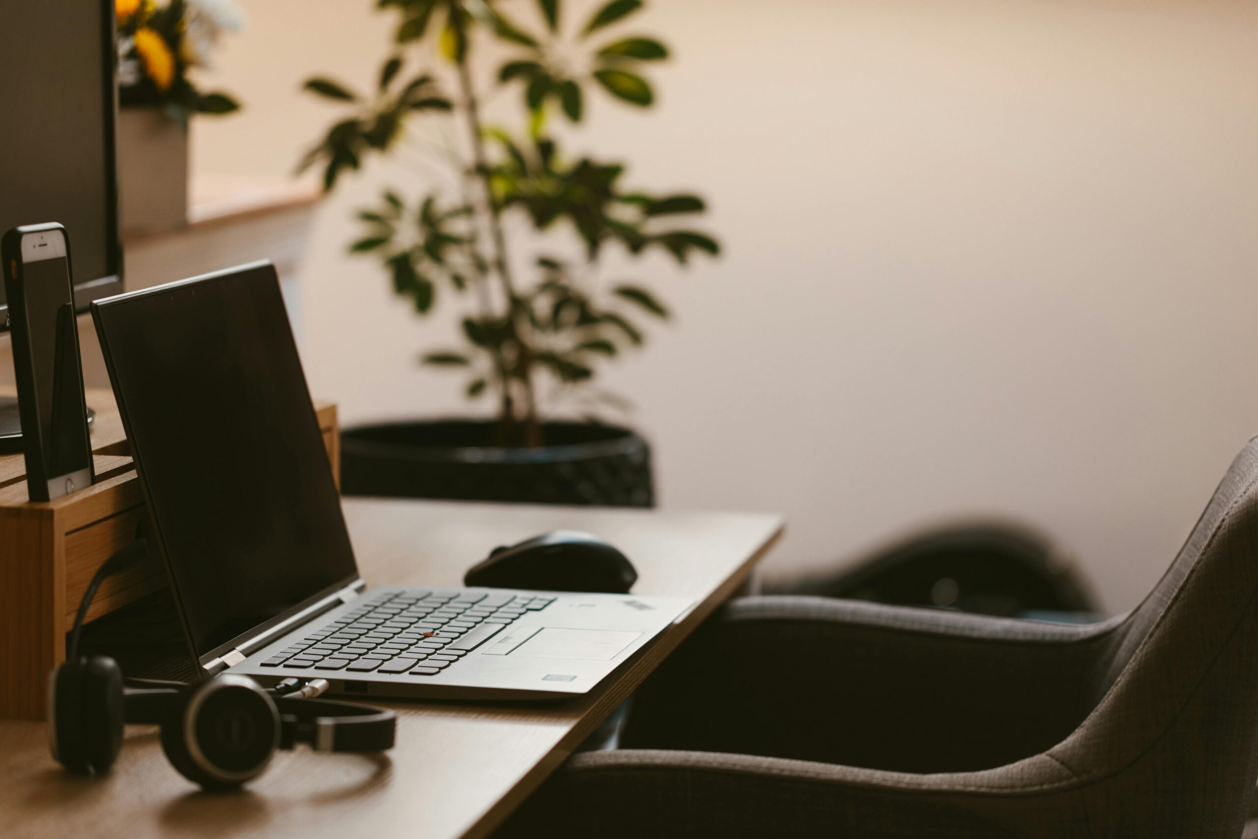 Desk with a laptop on it and a plant in the background